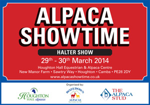 Alpaca Showtime Halter Show
